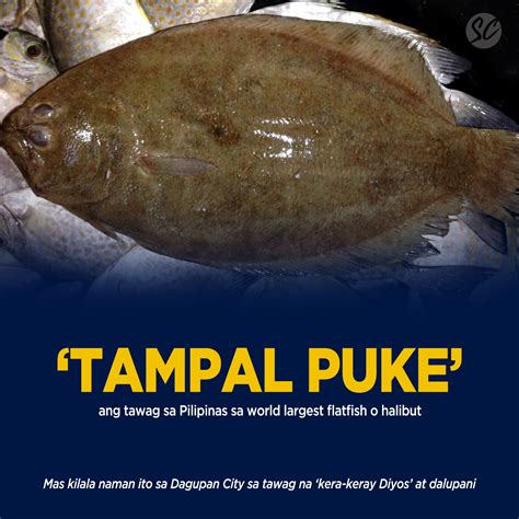 tampalpuke|Philippine Star .
